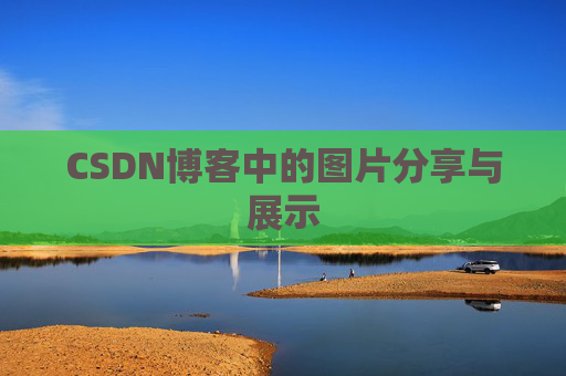 CSDN博客中的图片分享与展示